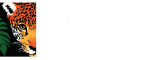 Rainforest Trust Logo