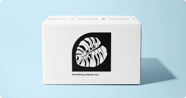 Custom Cardboard Box