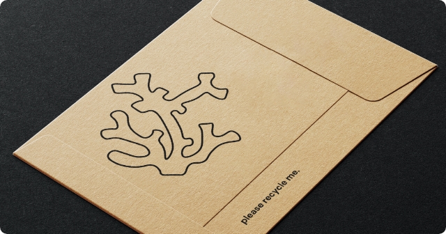 Custom Cardboard Envelope