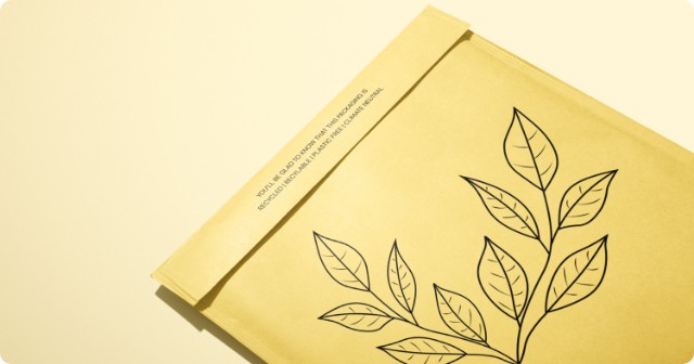 Image of Padded Envelope