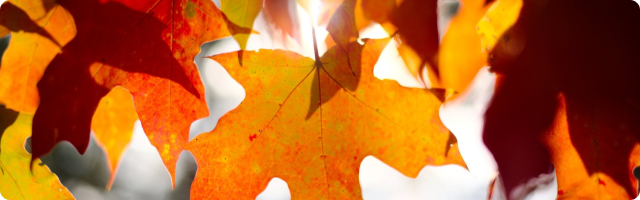 September Newsletter
