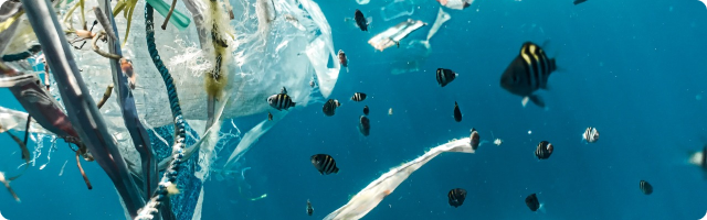 The Truth About LDPE Recycling - Is It Potential Greenwashing?