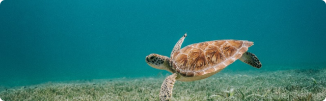 Sustainability Matters - October Newsletter