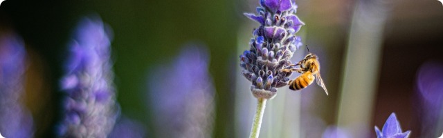 Sustainability Matters - November Newsletter