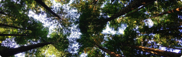 Sustainability Matters - December Newsletter