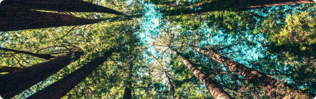 Sustainability Matters - January Newsletter