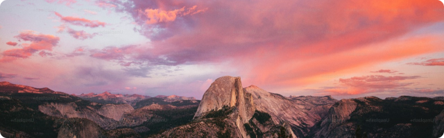 Sustainability Matters - February Newsletter