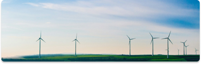 Is Sustainable Packaging Affordable?