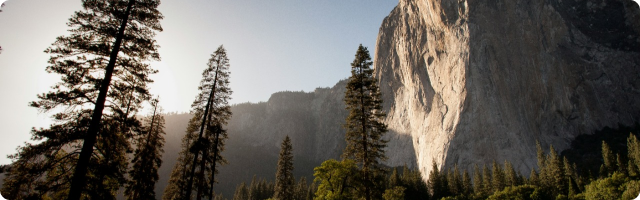 Sustainability Matters - June Newsletter