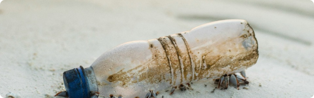 Plastic Free July: A Step Towards a Sustainable Future