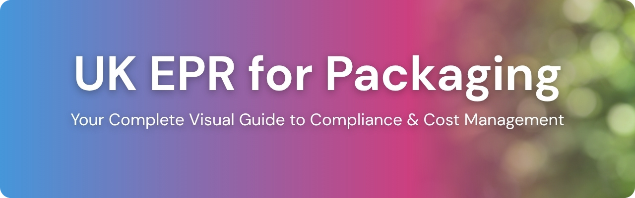EPR For Packaging - Complete Visual Guide