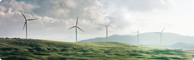 Climate Action Is Needed – 7 Ways You & Your Business Can Make A Difference (And They’re Simpler Than You May Think)