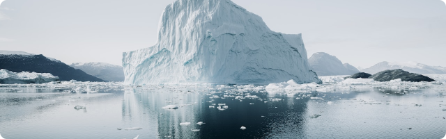 The Environmental Crisis