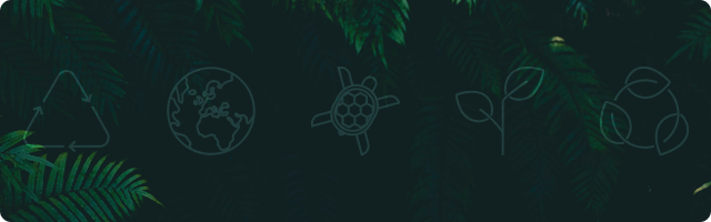 What is the Eco Score?