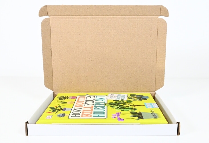 Image of White Postal Boxes - 222 x 160 x 20mm - 50 Boxes