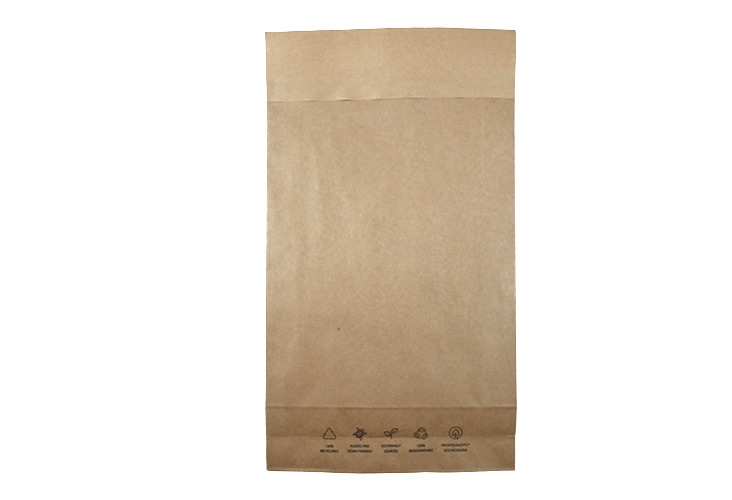 Paper Mailing Bags - Priory Elements EcoMailingBags™ - 260 x 410 x 70mm - Hammerhead Shark - 2