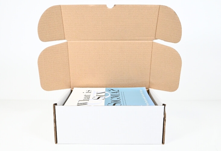 Image of White Postal Boxes - 250 x 150 x 100mm - 50 Boxes