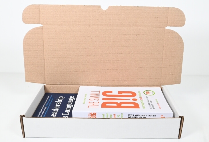 White Postal Boxes - 305 x 152 x 50mm image