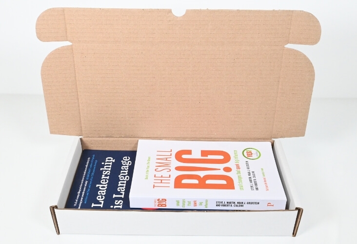 Image of White Postal Boxes - 305 x 152 x 50mm - 50 Boxes