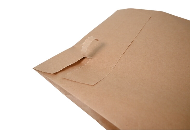 Paper Mailing Bags - 300 x 190 x 50mm Image 7