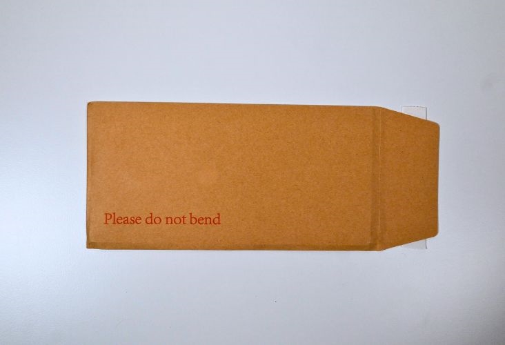 Image of DL Manilla Board Back Envelopes 220 x 110mm - 125 Envelopes