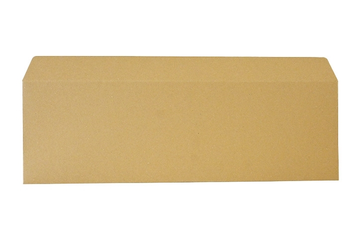 560 x 180mm - Number Plate Size Solid Board Envelopes - 2
